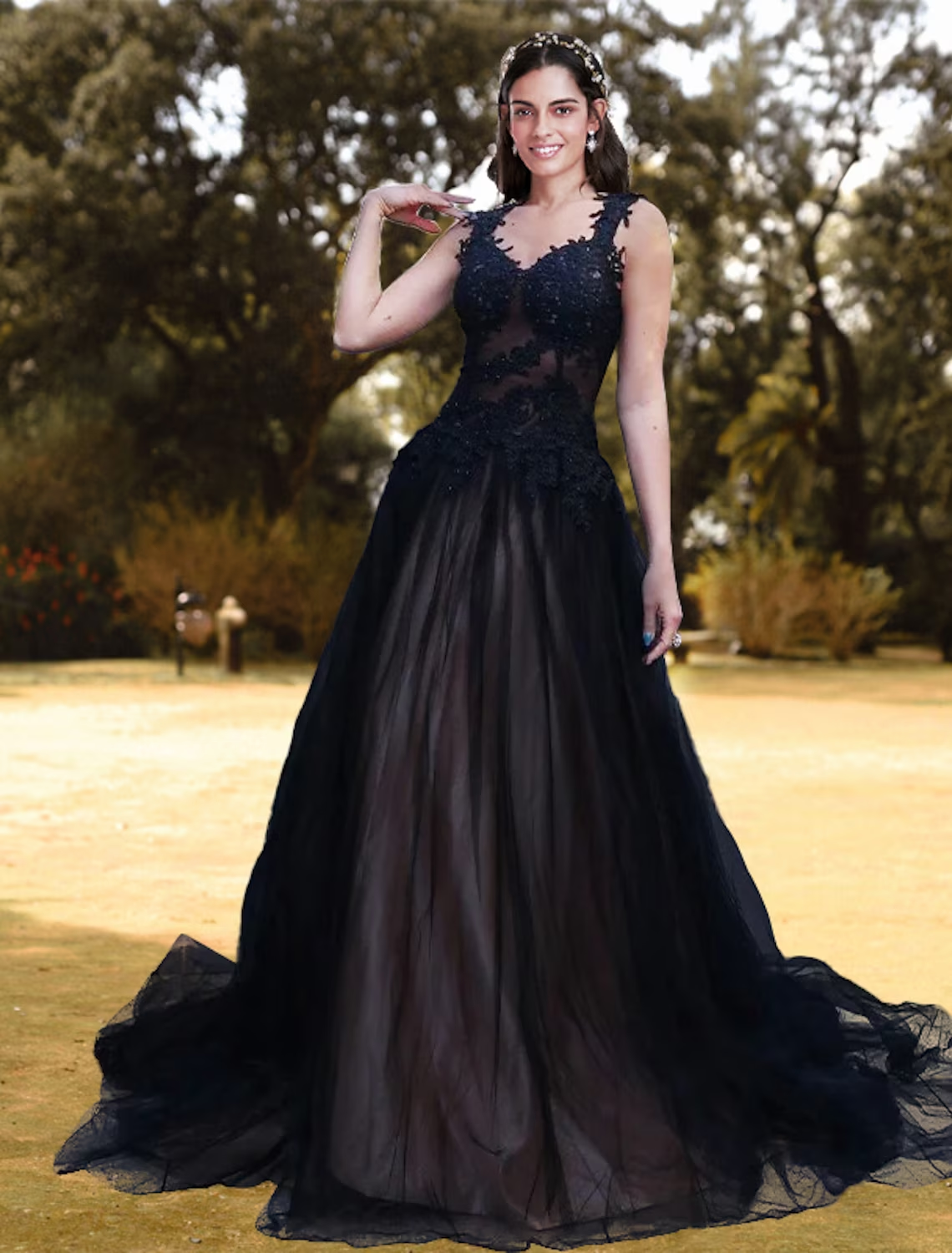 Luolandi Ball Gown Prom Dresses Corsets Dress Prom Court Train Sleeveless V Neck Lace with Pleats