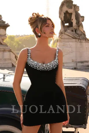 Luolandi Chic Straps Sleeveless Short Homecoming Dress With Beading Short Prom Dress Charming Birthday Party Dress Mini Dress
