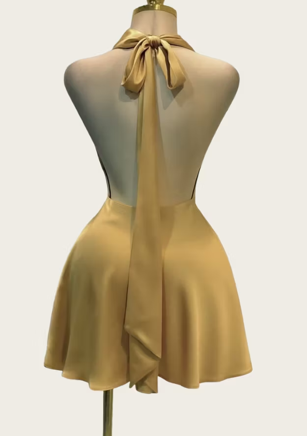 Luolandi Fashion Halter Backless Short Party Prom Dress Stylish Homecoming Dress Sexy Mini Birthday Dress