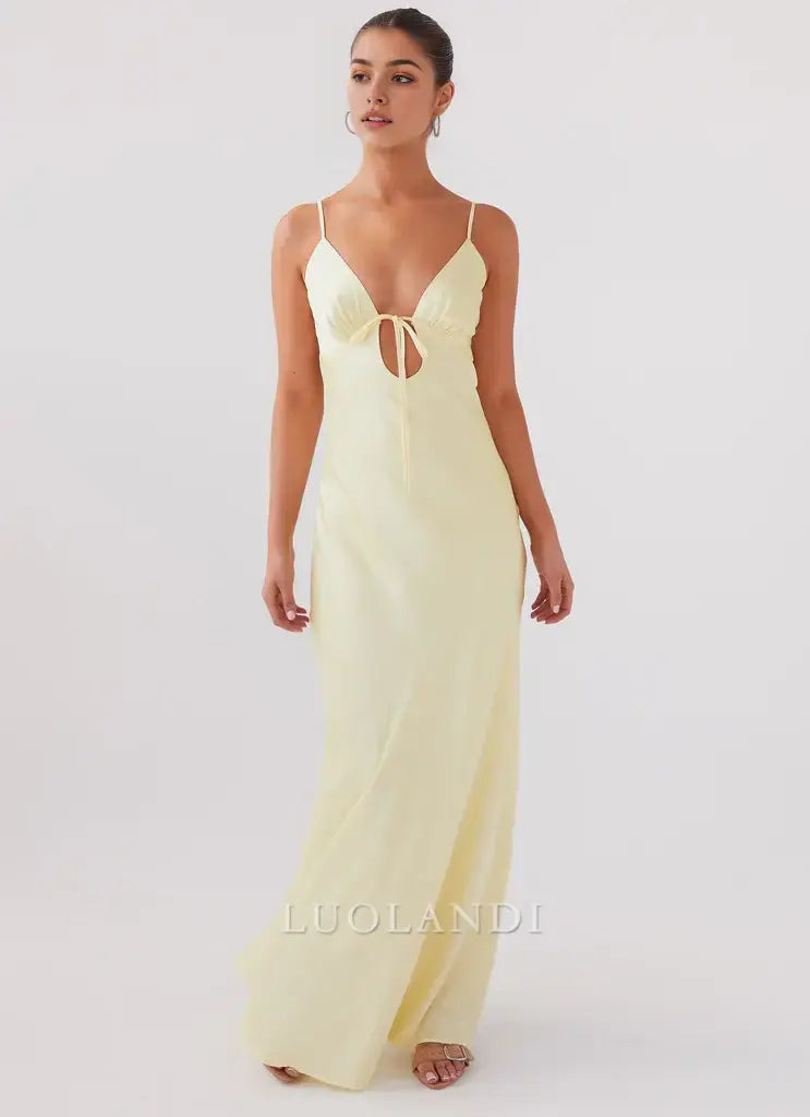 Luolandi Fashion Spaghetti Straps Sleeveless Prom Dress Simple Maxi Dress Elegant Evening Party Dress