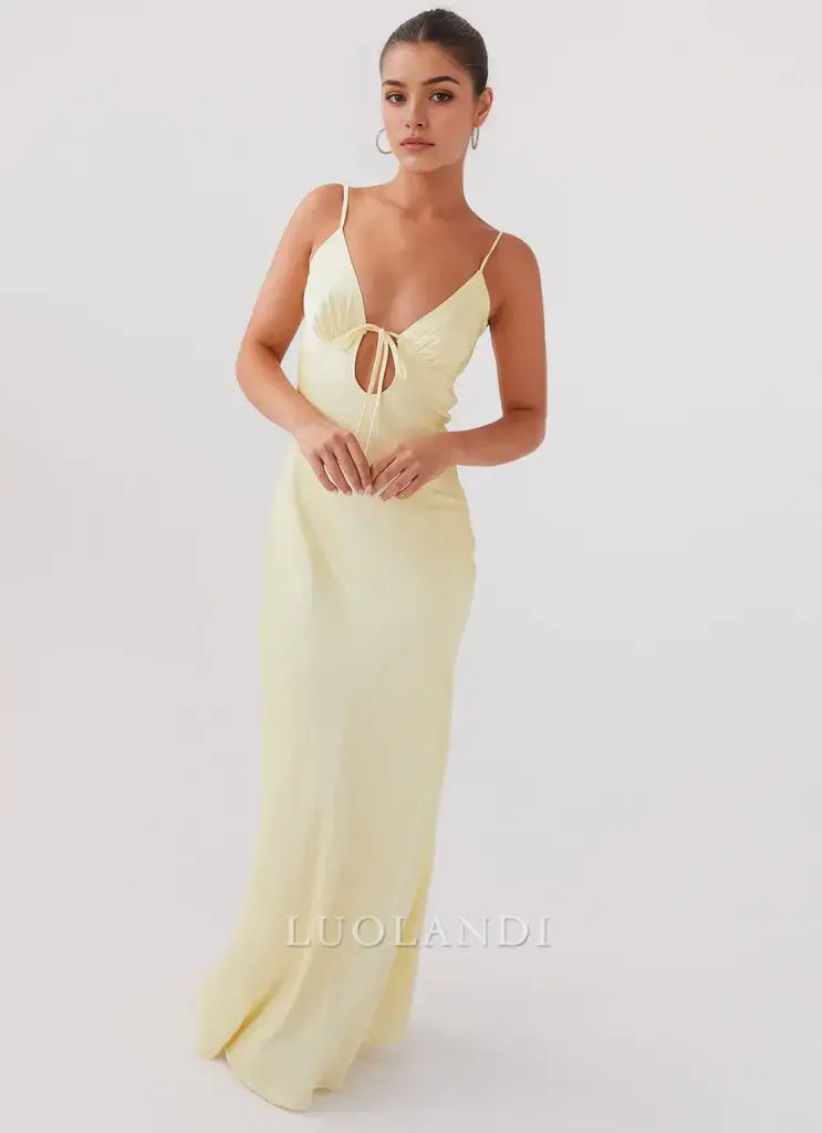Luolandi Fashion Spaghetti Straps Sleeveless Prom Dress Simple Maxi Dress Elegant Evening Party Dress