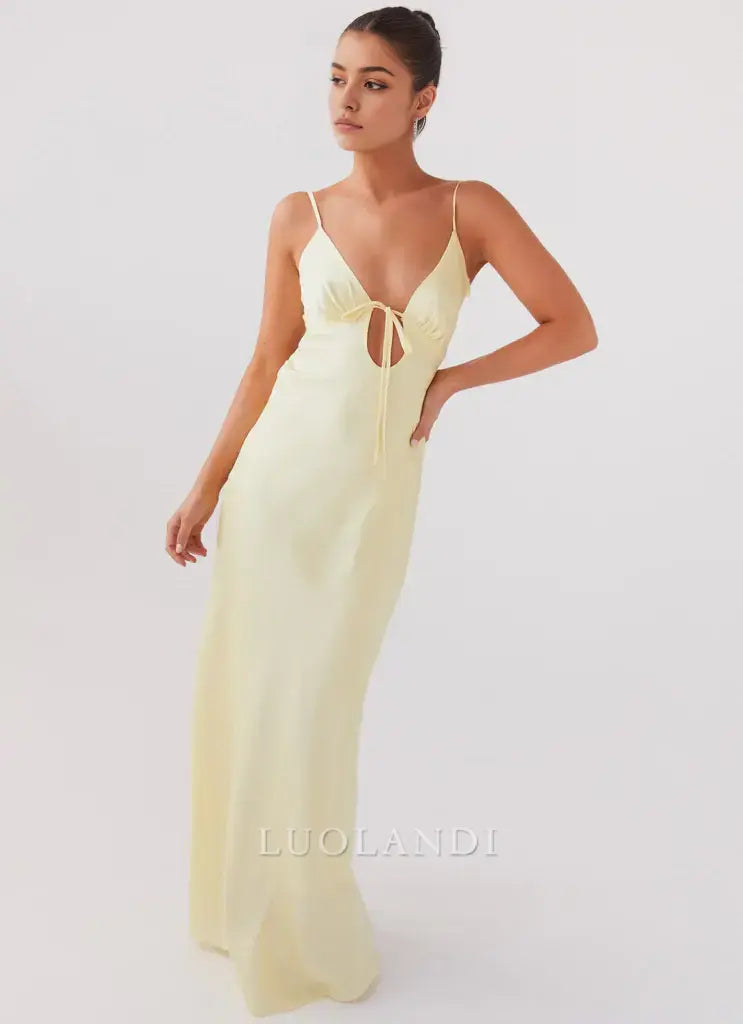Luolandi Fashion Spaghetti Straps Sleeveless Prom Dress Simple Maxi Dress Elegant Evening Party Dress