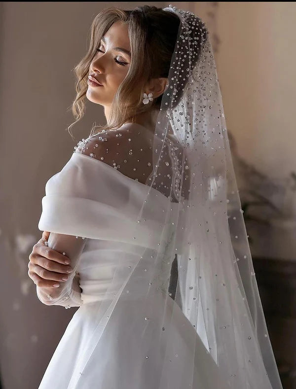 Luolandi Simple Wedding Dresses Wedding Dresses A-Line V Neck Long Sleeve Court Train Chiffon Bridal Gowns With Pleats Ruched Elegant Excluding veil