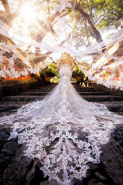 Luolandi Mermaid V Neck Tulle Wedding Dresses with Train Sexy Beautiful