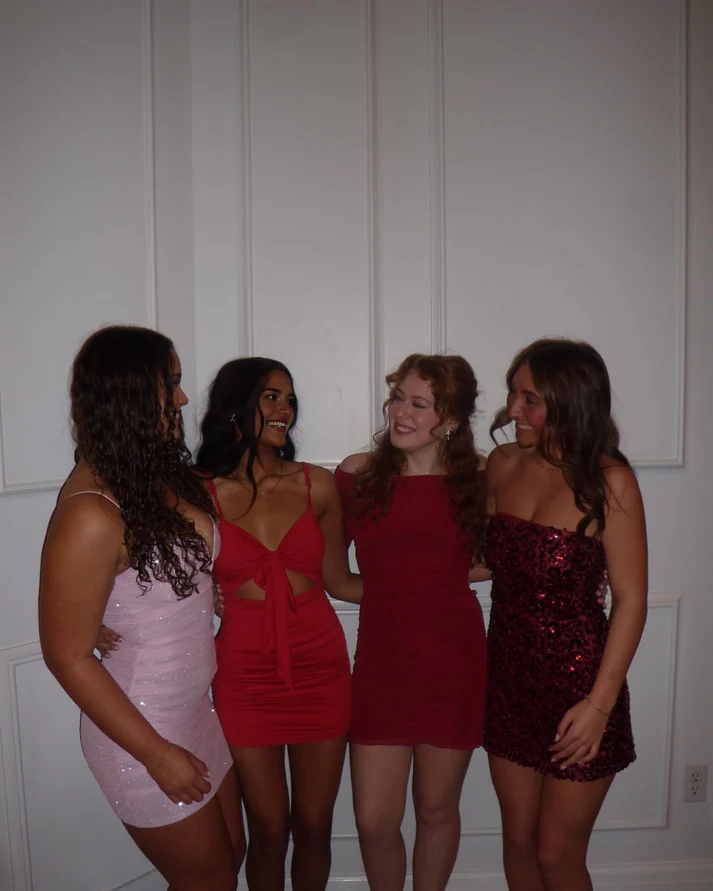 Luolandi Sexy Sheath Straps Short Prom Dress Charming Homecoming Dress Lovely Graduation Dress Cute Birthday Party Dress