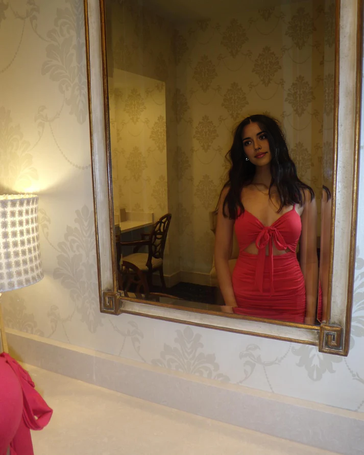 Luolandi Sexy Sheath Straps Short Prom Dress Charming Homecoming Dress Lovely Graduation Dress Cute Birthday Party Dress