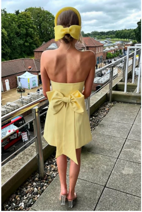 Luolandi Sweetheart Strapless Short Prom Dress Charming Homecoming Dress Cute Graduation Dress Simple Birthday Party Dress With Bow