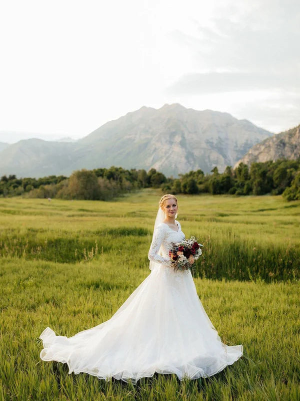Luolandi Fabulous Ball Gown Lace V-Neck Longsleeves Wedding Dresses Appliqued Tulle Chapel Train Elegant