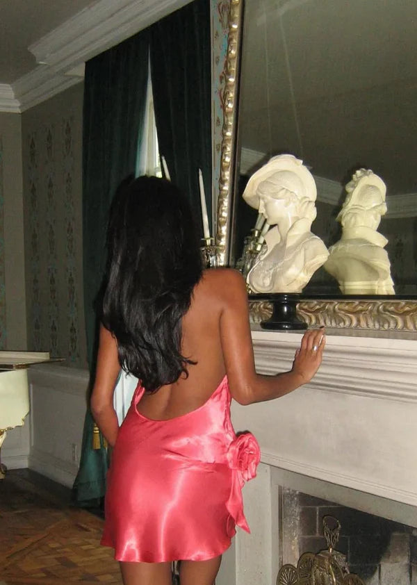 Luolandi A Line Halter Open Back Short Prom Dress Charming Homecoming Dress Lovely Graduation Dress Sweetheart Birthday Party Dress