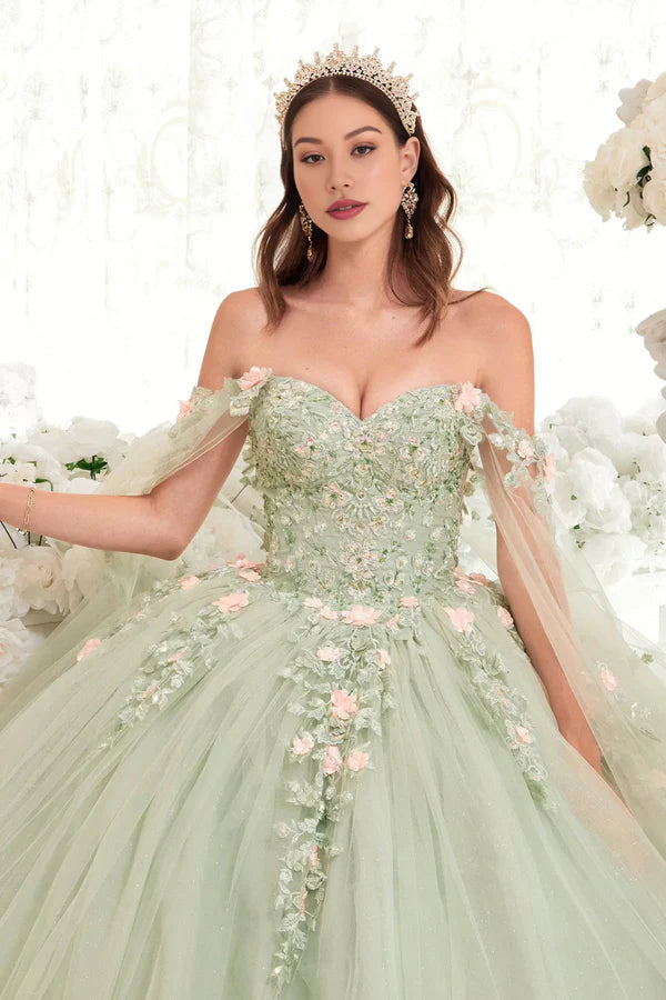 Luolandi Sage Floral Blush Ball Gown Quinceanera Dress Ball Gown Quinceanera Dresses Princess Dress Party Dress with Cape Prom Dress