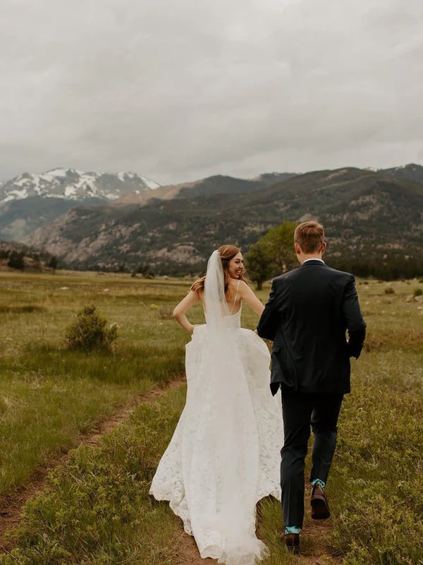 Luolandi Unique Spaghetti Straps Lace Wedding Dresses A-line V-Neck Bridal Gowns Elegant