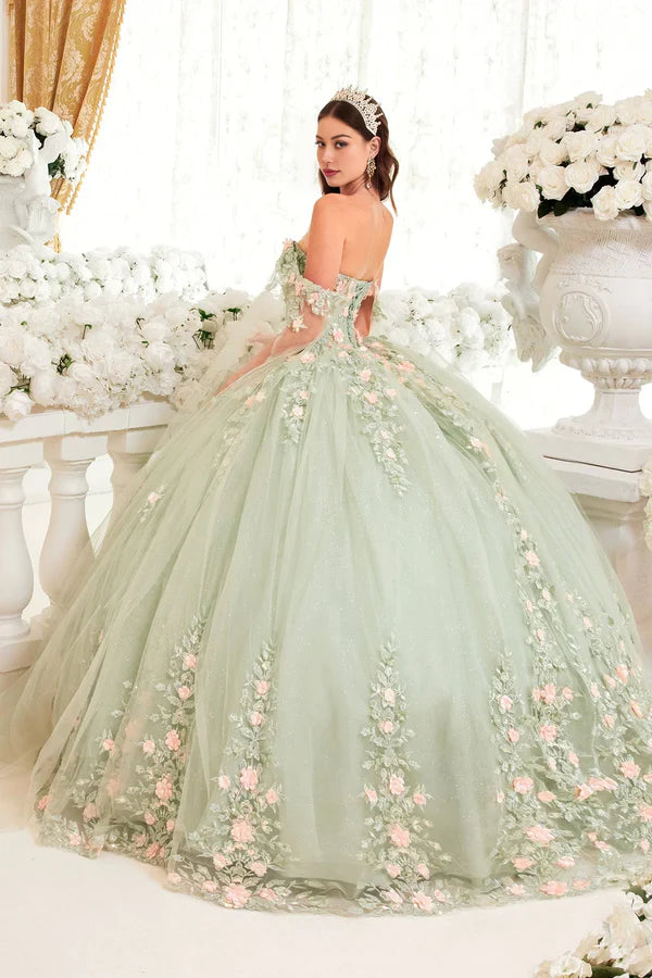 Luolandi Sage Floral Blush Ball Gown Quinceanera Dress Ball Gown Quinceanera Dresses Princess Dress Party Dress with Cape Prom Dress