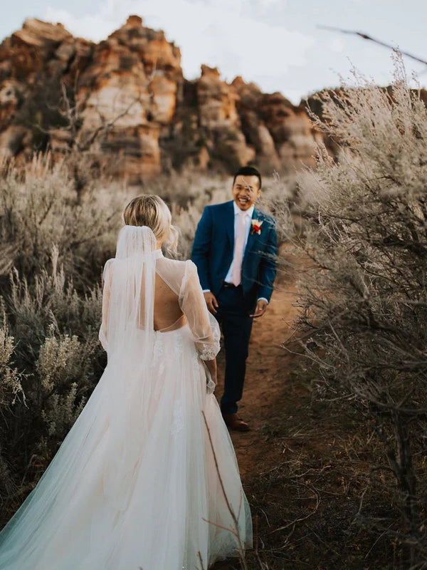 Luolandi Fabulous Illusion Long Sleeves Ball Gown Tulle Wedding Dresses Appliqued Bridal Gowns Elegant