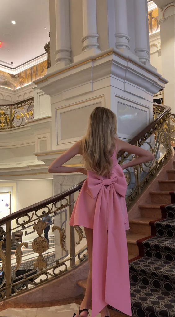 Luolandi Dress Pink Homecoming Dress Short Cocktail Dress Formal Party Gowns With Bowknot