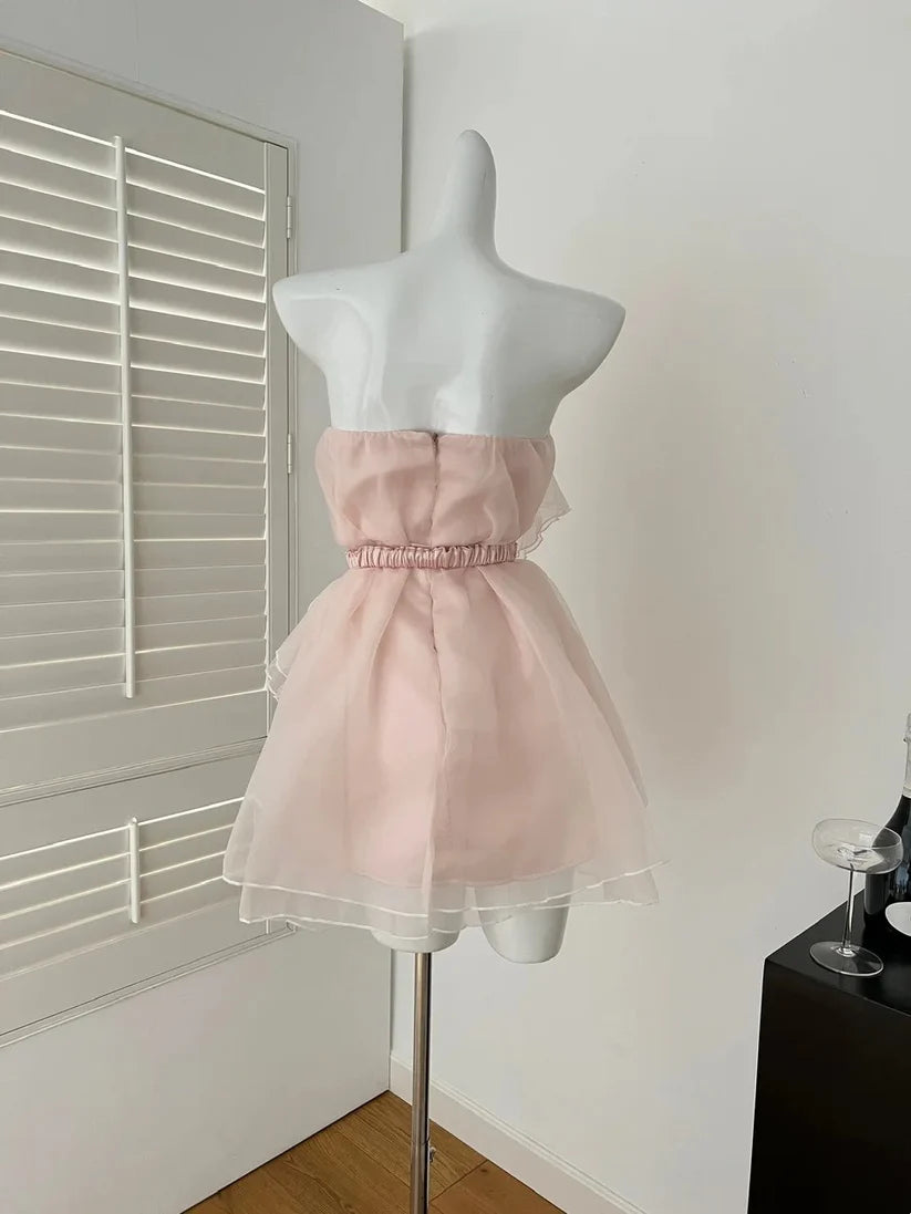 Luolandi Pretty Strapless Sleeveless Short Party Prom Dress Lovely Homecoming Dress Cute Birthday Dress With Bow