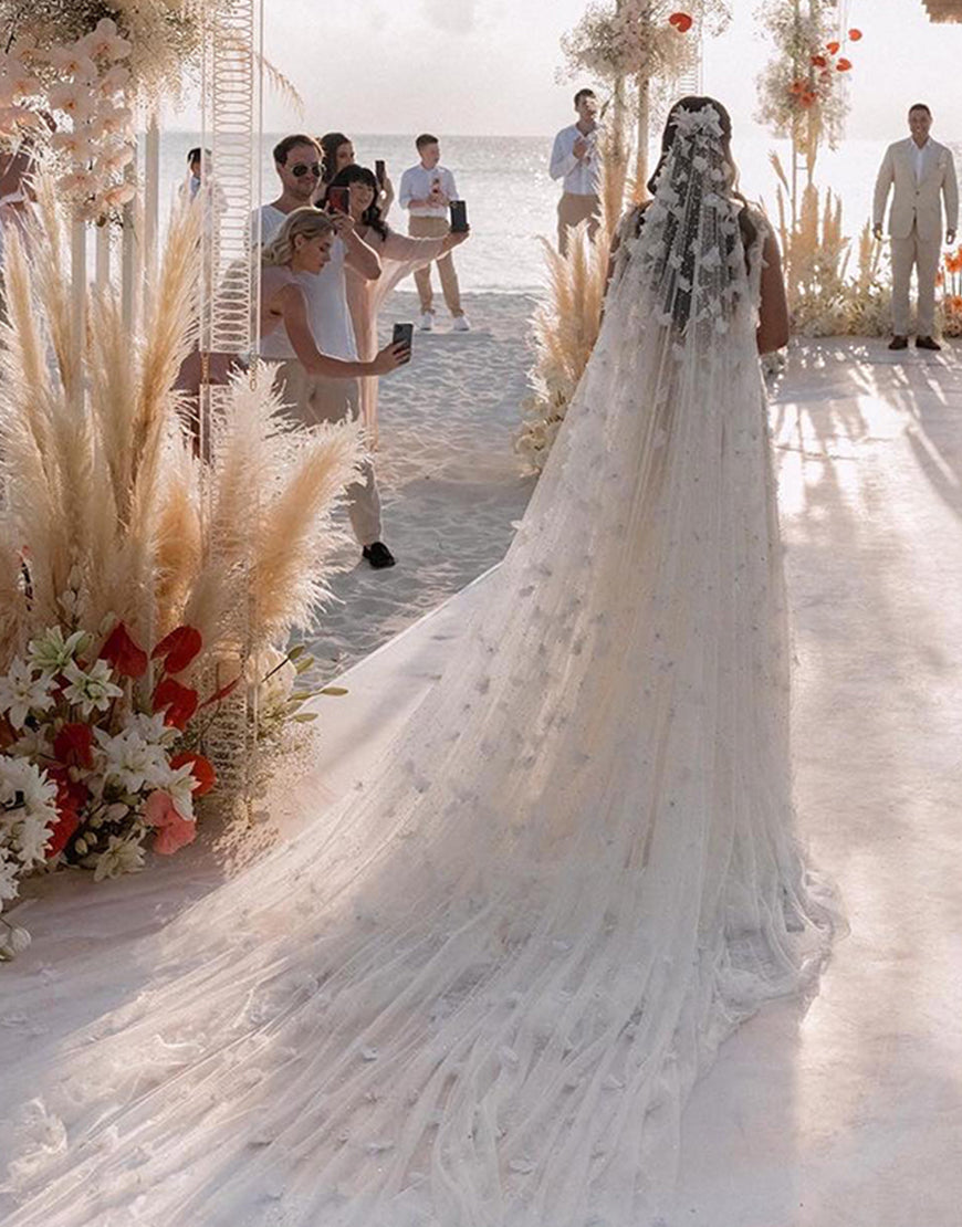 Luolandi A-line Lace Wedding Dress with Split V-neck Sexy Beautiful Bridal Gown No With bride veil