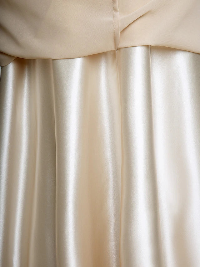 Luolandi Sheath / Column Mother of the Bride Dress Plus Size Elegant V Neck Floor Length Chiffon Sleeveless with Appliques