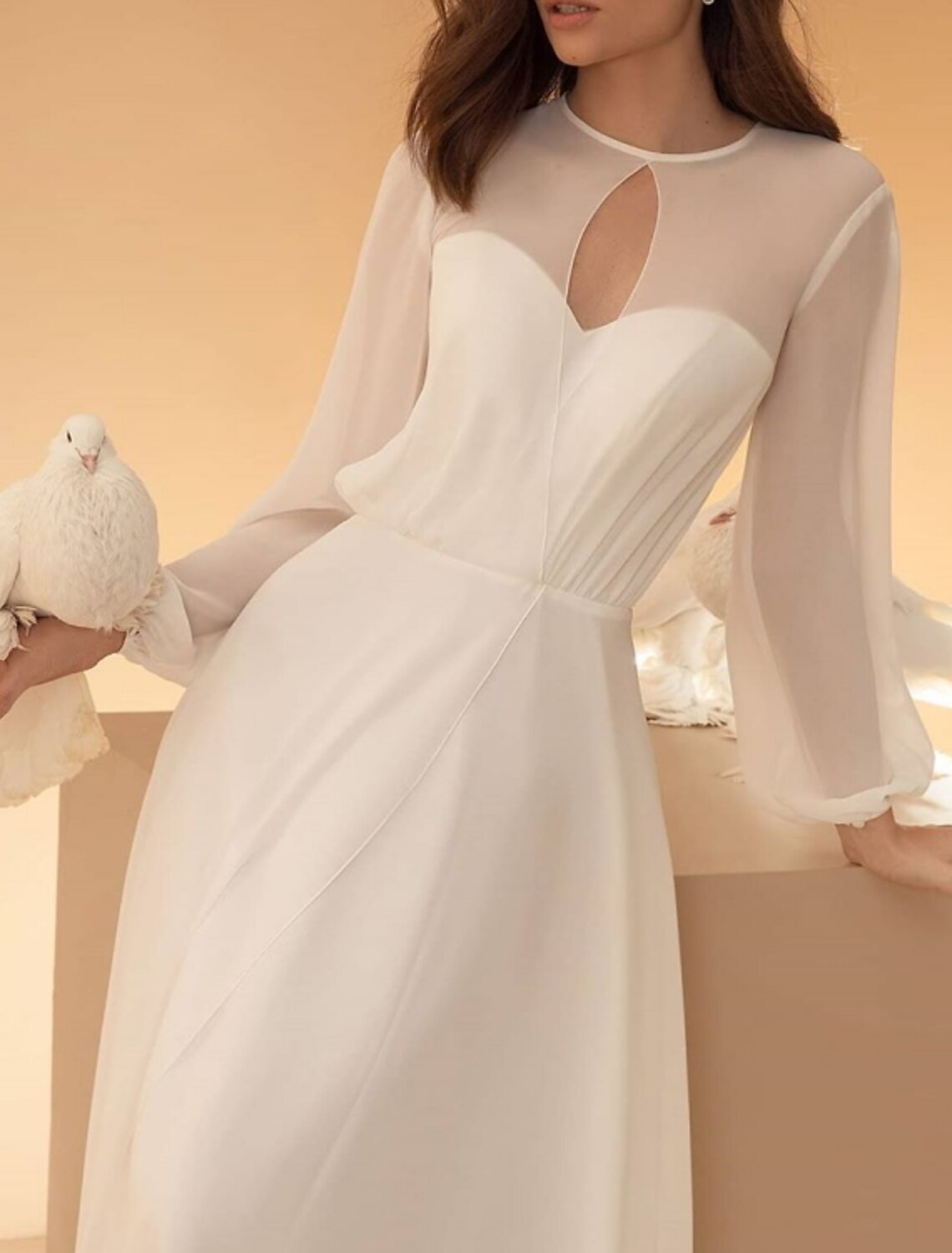 Luolandi Hall Casual Wedding Dresses A-Line Illusion Neck Long Sleeve Floor Length Chiffon Bridal Gowns