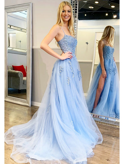 A-Line Prom Dresses Puffy Dress Formal Floor Length Sleeveless Sweetheart Tulle Backless with Appliques
